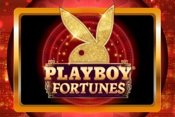 07736 playboy fortunes