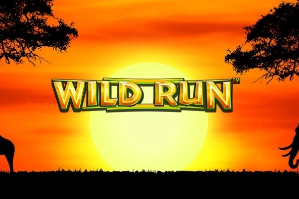 13228 wild run